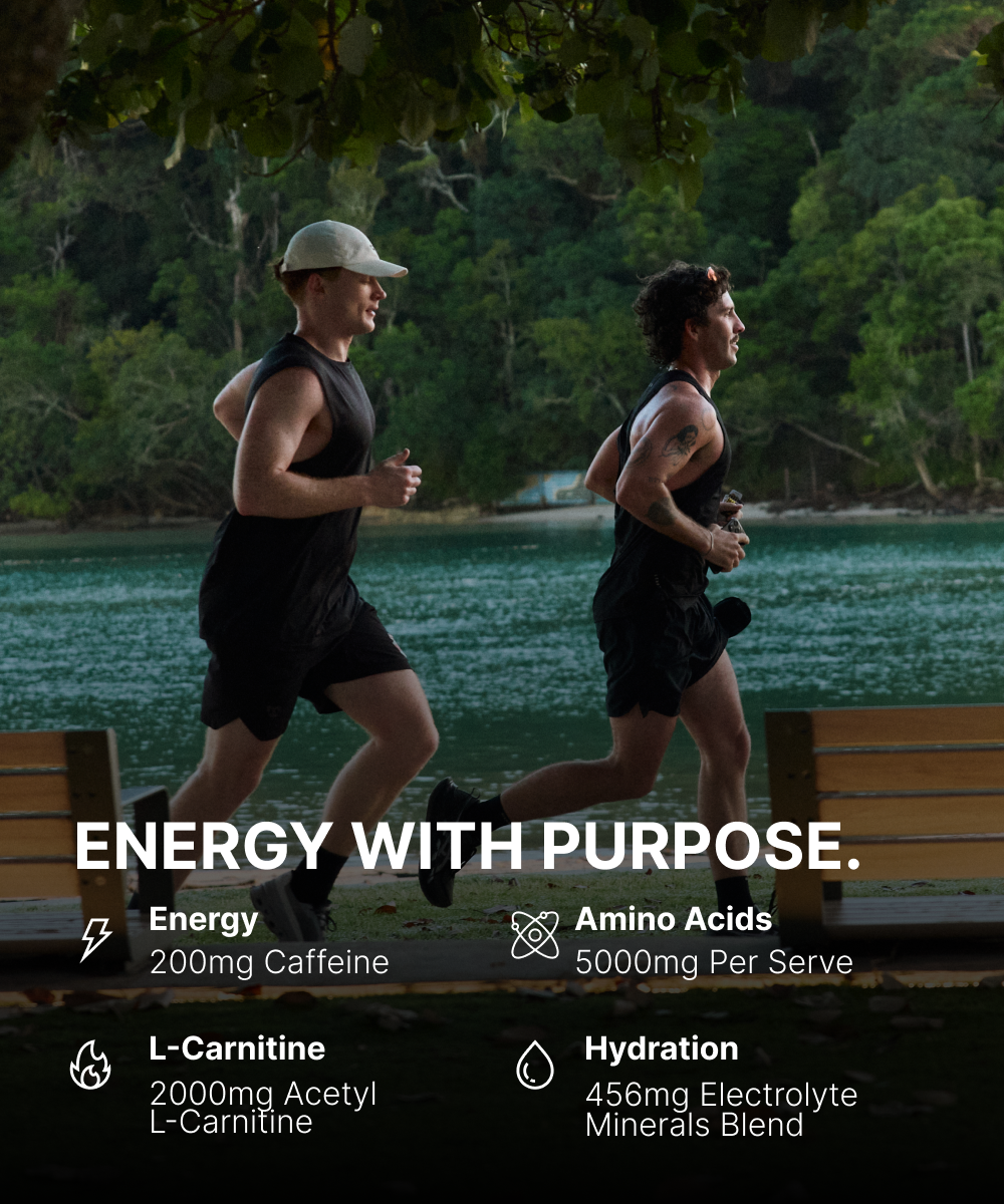 BSc Shred Energy + Hydration